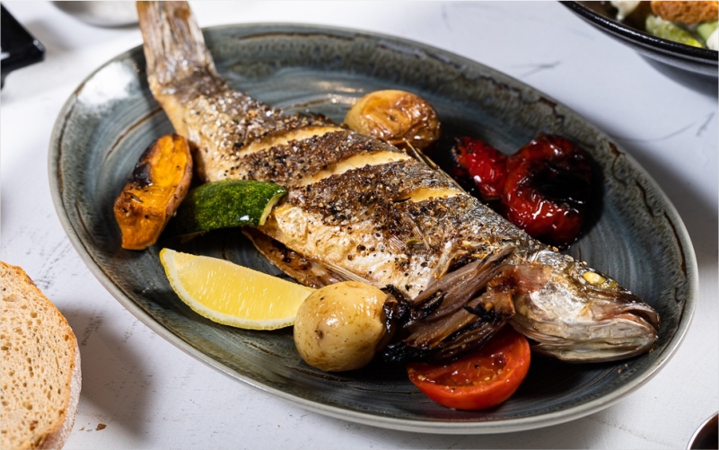 Yama Fish | ימה דגים