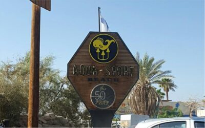 THE 50 BAR