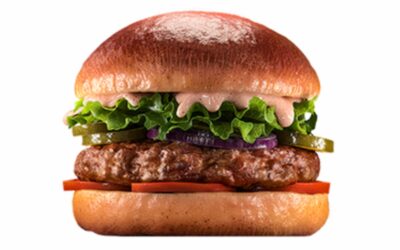 בורגרס בר -ביג | BURGERS BAR